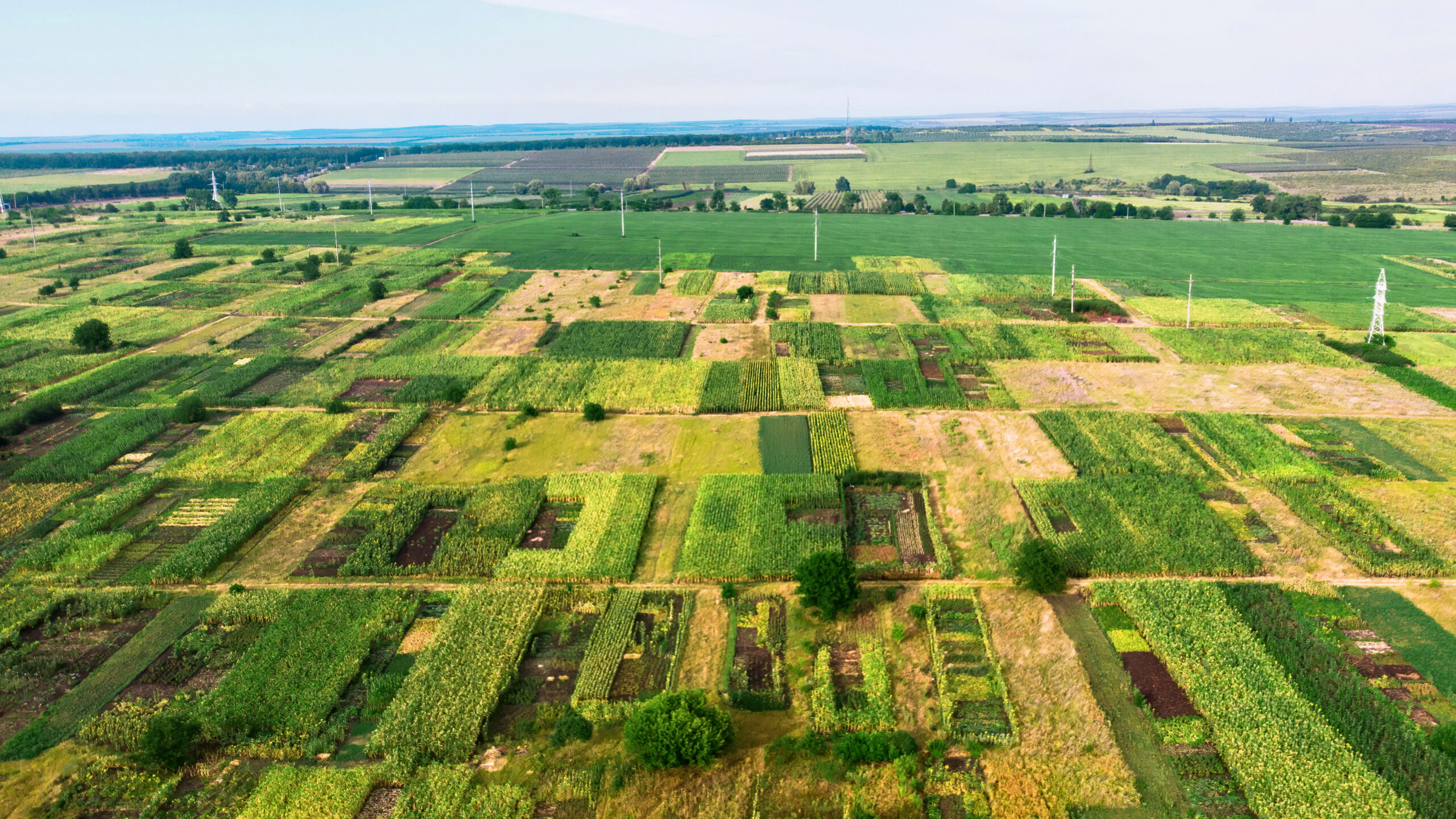 Fields sown with different crops, view from the drone near Donduseni in Moldova